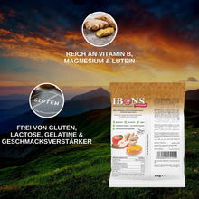 Lade das Bild in den Galerie-Viewer, IBONS Ingwer-Apfel-Zimt zuckerfrei 75g