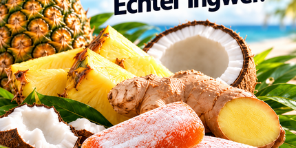 Ingwer-Ananas mit Kokosnuss 92g