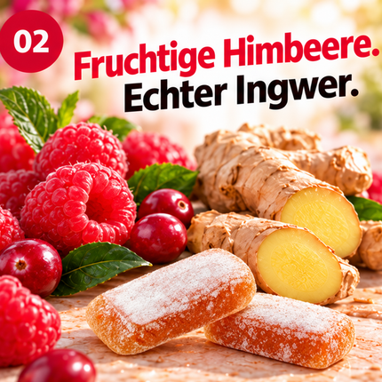 Ingwer-Himbeer mit Cranberry 60g x 10
