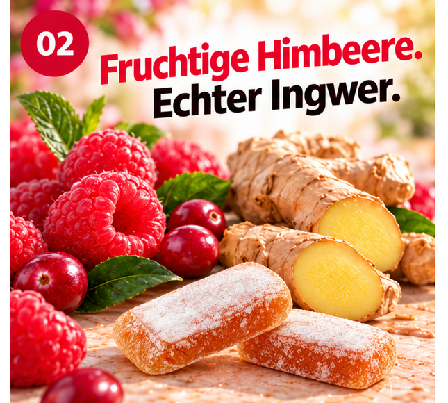 Ingwer-Himbeer mit Cranberry 60g x 10