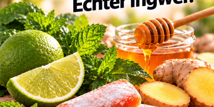 Ingwer-Limette mit Honig & Minze 92g x 10