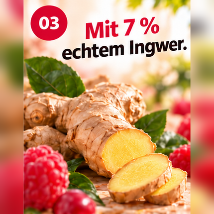 Ingwer-Himbeer mit Cranberry 60g x 10