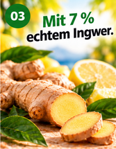 Ingwer-Zitrone 60g x 10