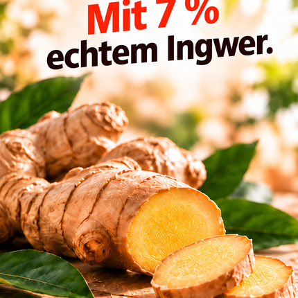 Ingwer-Mango 92g x 10