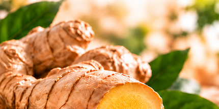 Ingwer-Mango 60g