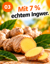 Ingwer-Orange 60g x 10