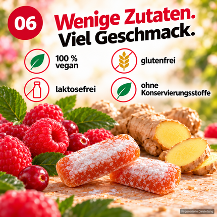 Ingwer-Himbeer mit Cranberry 60g x 10