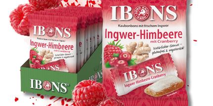 Ingwer-Himbeer mit Cranberry 92g x 10