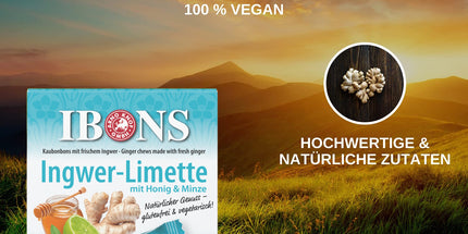 Ingwer-Limette 60g