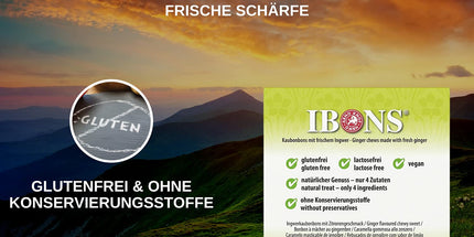 Ingwer-Zitrone 60g x 10