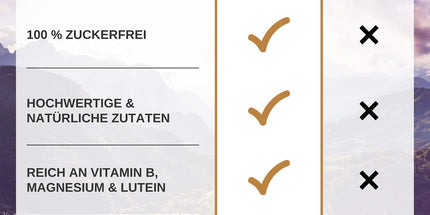 Ingwer-Apfel-Zimt zuckerfrei 75g