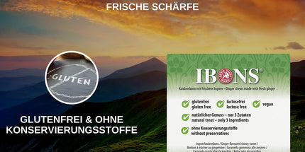 Ingwer-Classic 60g