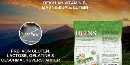 Ingwer-Classic 92g x 10