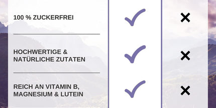 Ingwer-Holunder zuckerfrei 75g x 10