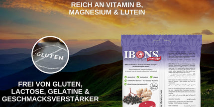 Ingwer-Holunder zuckerfrei 75g x 10