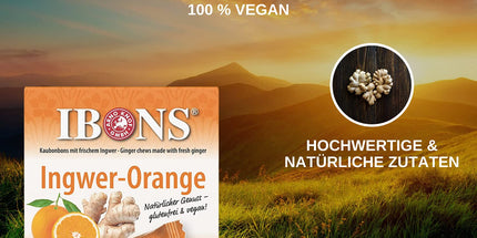 Ingwer-Orange 60g x 10