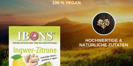 Ingwer-Zitrone 60g